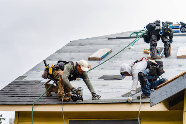 Professional Storm Damage Roof Repair technician working in Montrose, PA